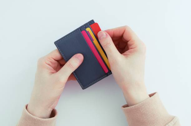 porte-cartes voyage protection contre le vol rfid cartes 