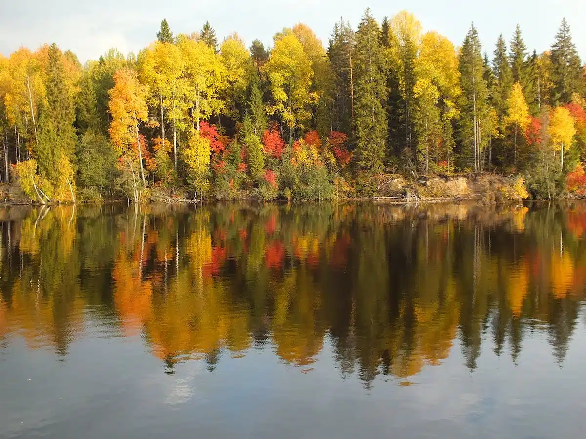 couleurs automne